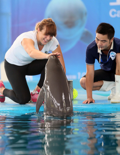 他们的潜力 他们的潜力