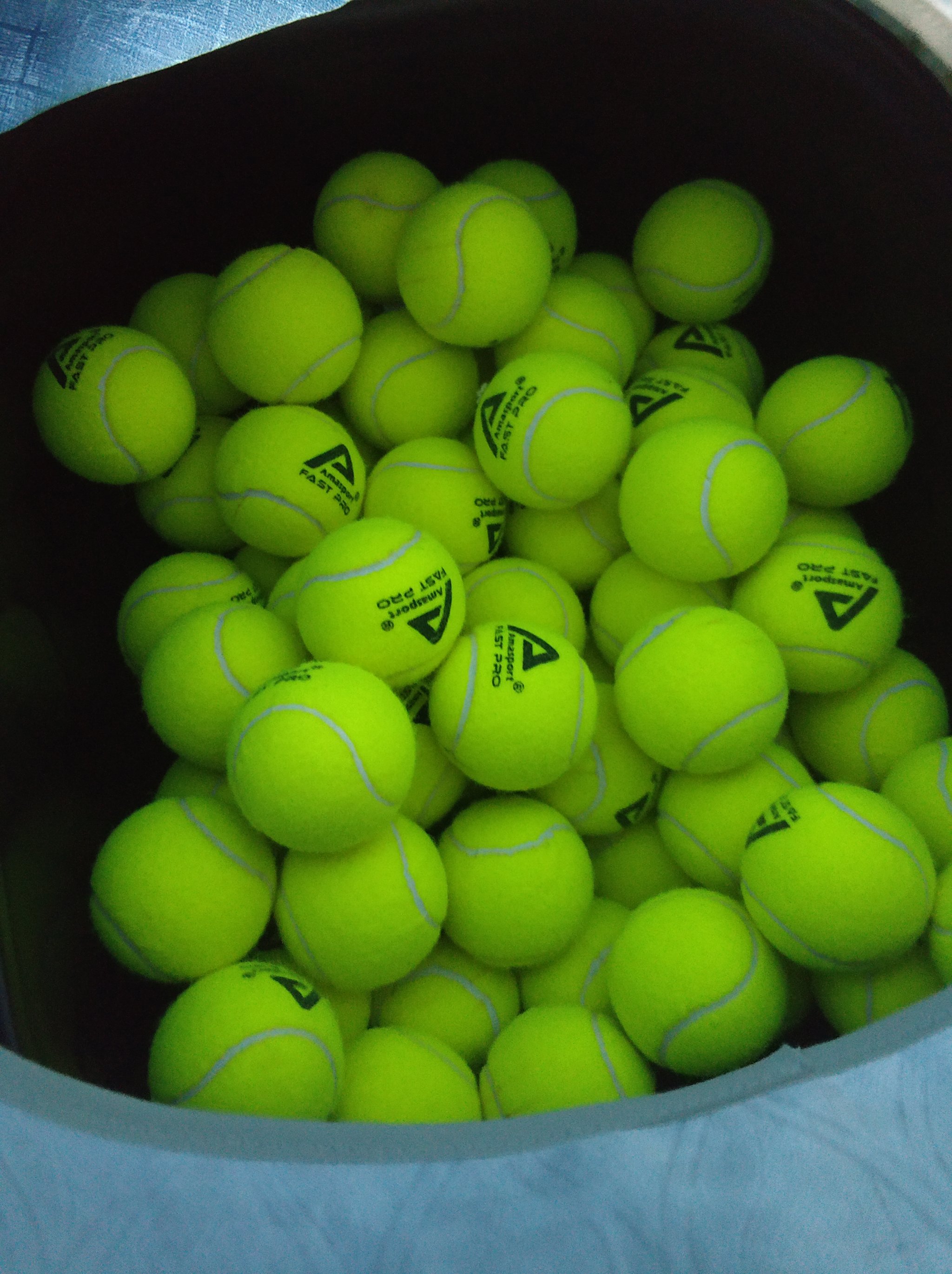 尤文图斯在 尤文图斯在