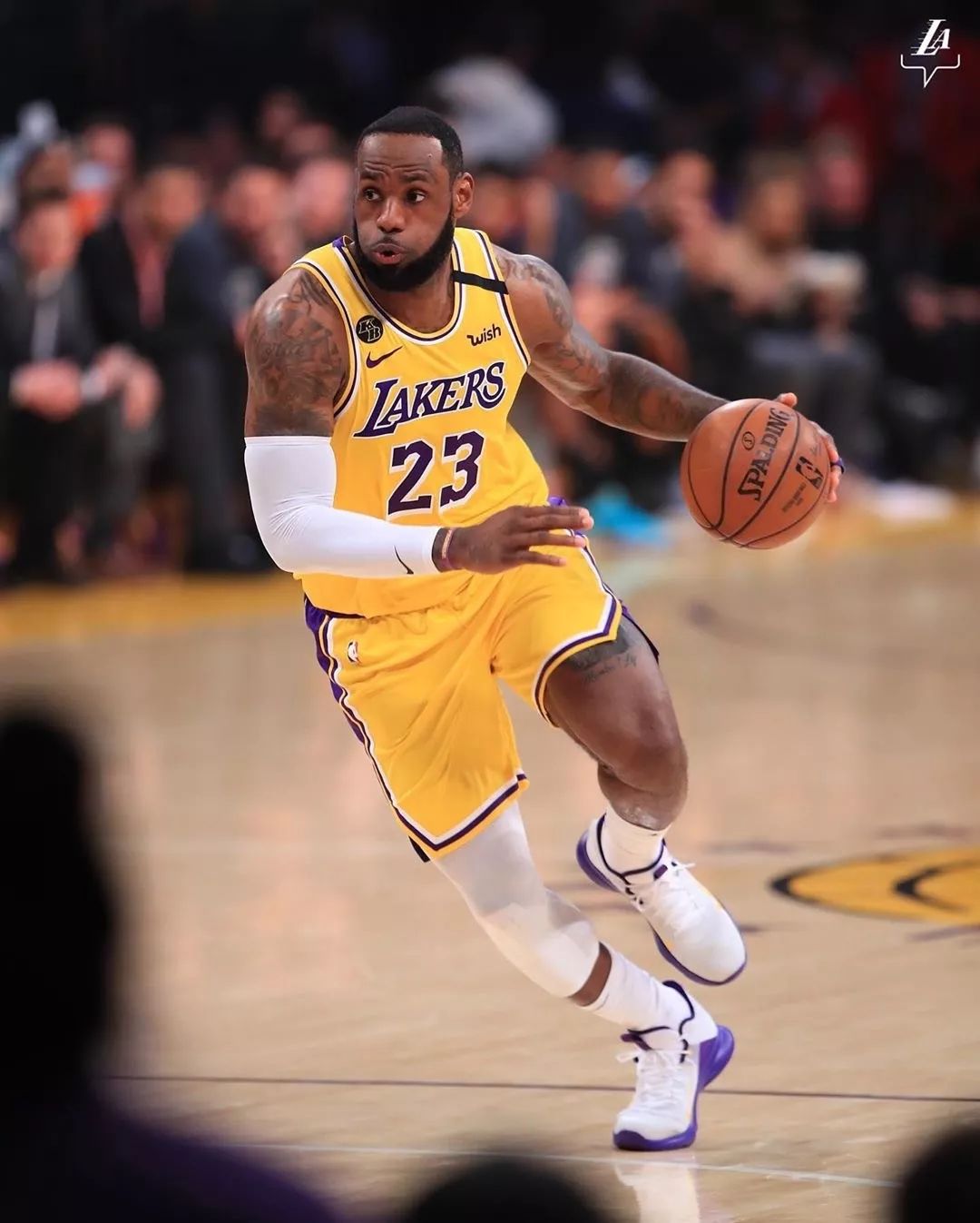 与詹姆斯的 与詹姆斯的